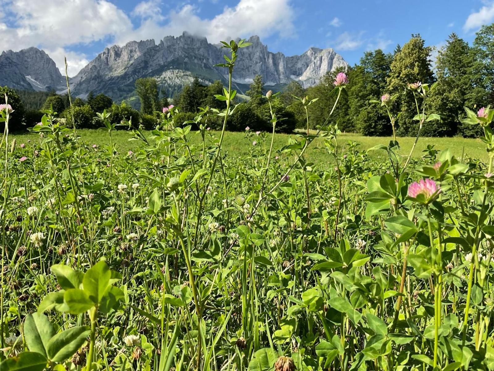 Hahnenkamm Suite Ski-In Ski-Out Direkt An Der Hahnenkammbahn Kitzbühel Esterno foto